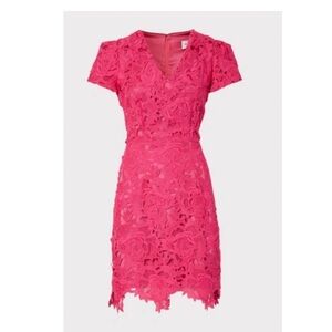 Milly Atalie 3D Floral Lace Dress in Pink.